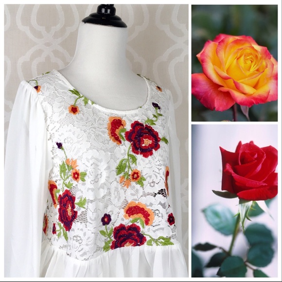 *CLEARANCE* Roses and Lace Peplum Top - Picture 8 of 8